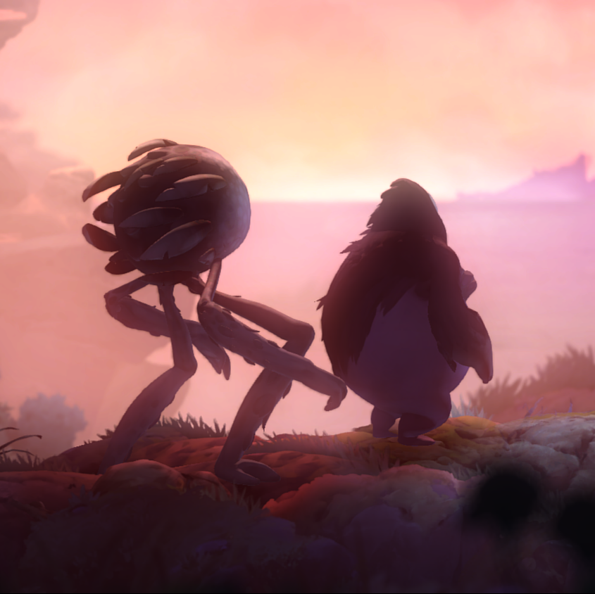 毛绒风暴的小窝